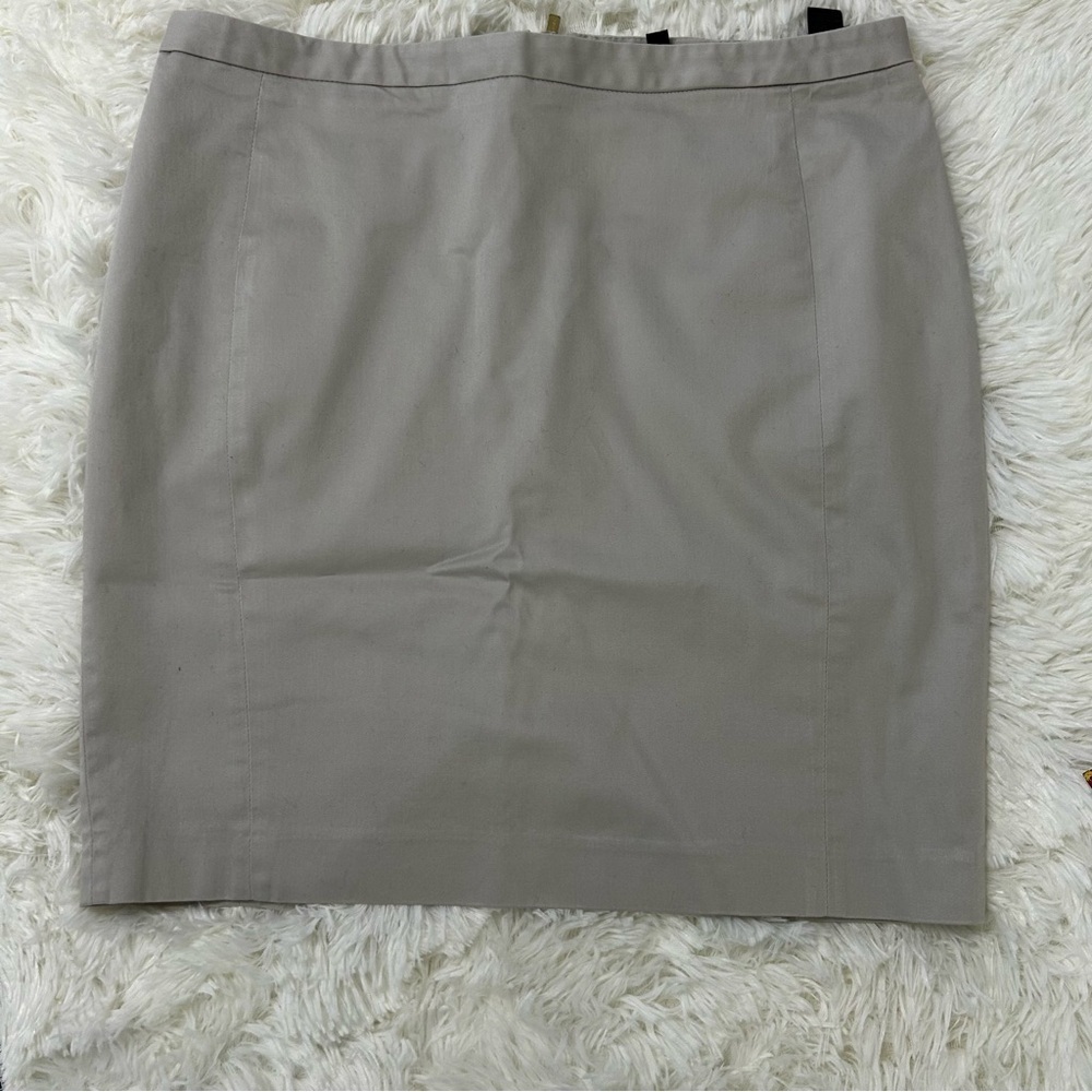 Express Tan Mini Pencil Skirt with Zipper and Closure